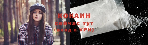 стаф Россошь