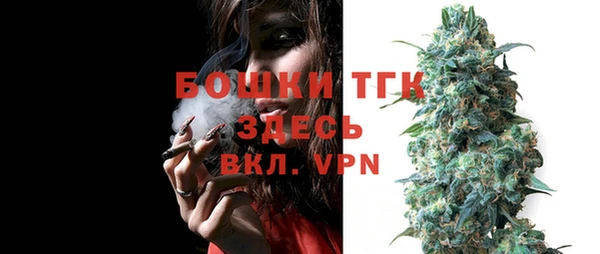 стаф Россошь