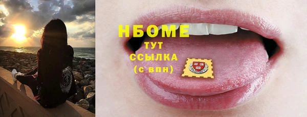 стаф Россошь