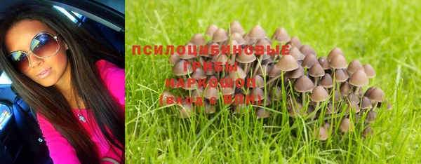 стаф Россошь