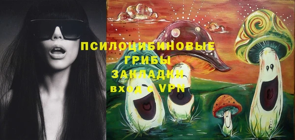 стаф Россошь