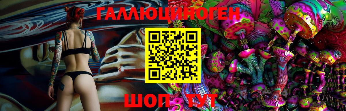 Псилоцибиновые грибы мицелий Юрга